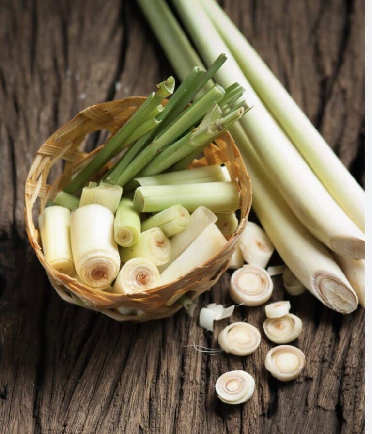 Sitruunaruoho ja thaimaalainen ihonhoito